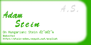adam stein business card